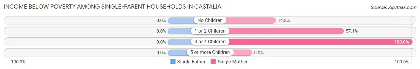 Income Below Poverty Among Single-Parent Households in Castalia