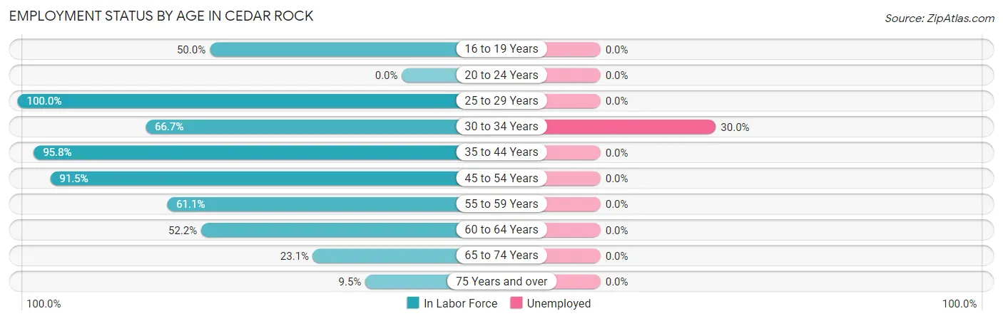 Employment Status by Age in Cedar Rock