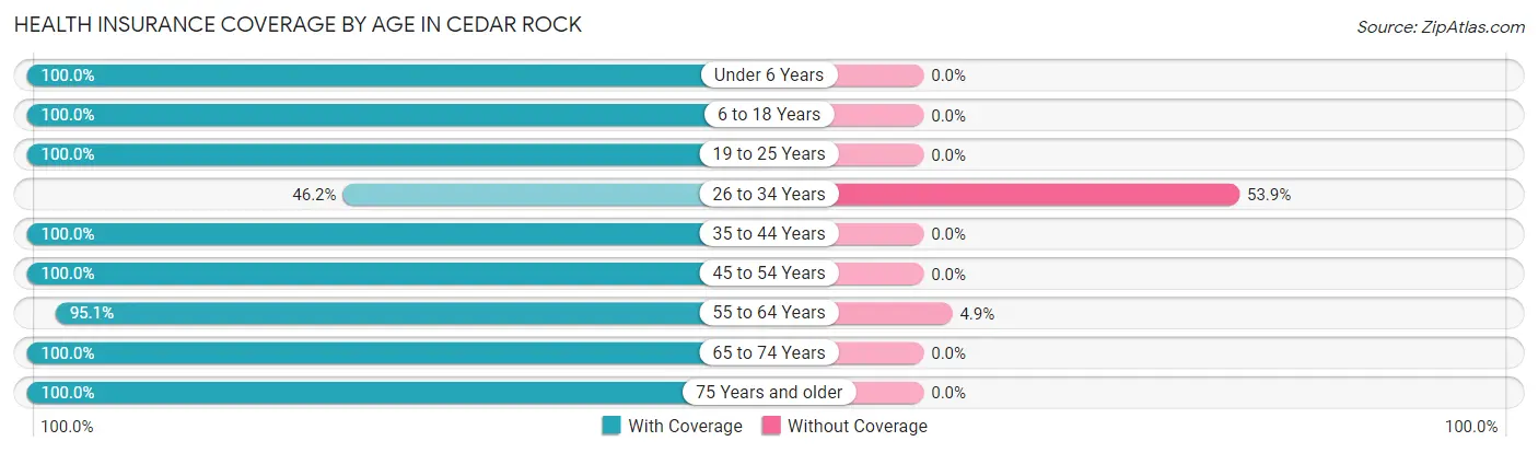 Health Insurance Coverage by Age in Cedar Rock