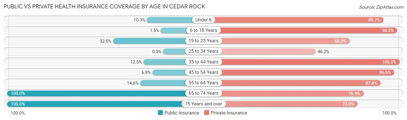 Public vs Private Health Insurance Coverage by Age in Cedar Rock