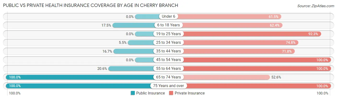 Public vs Private Health Insurance Coverage by Age in Cherry Branch