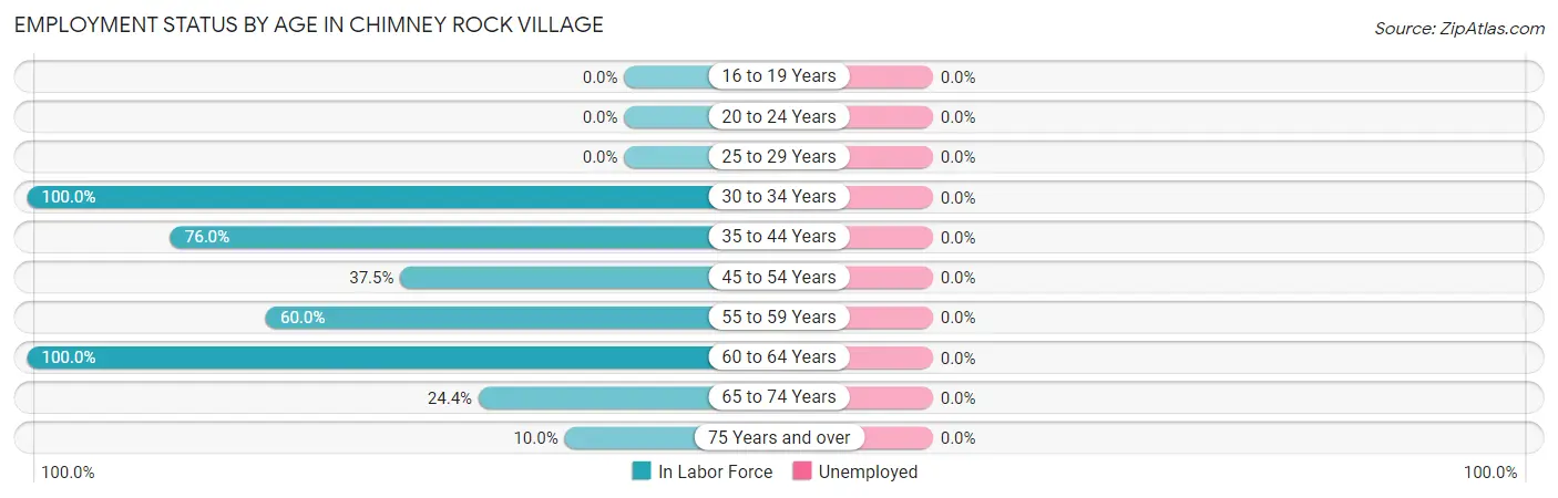 Employment Status by Age in Chimney Rock Village