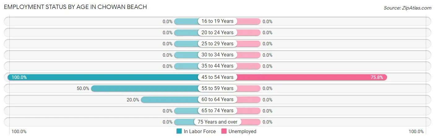 Employment Status by Age in Chowan Beach