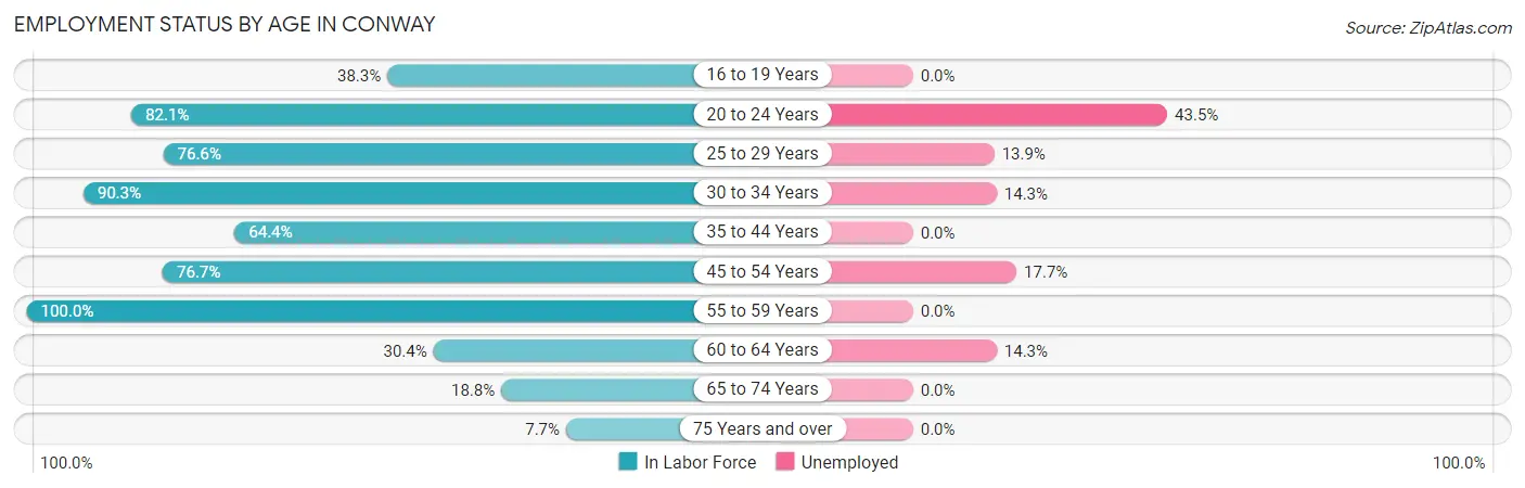 Employment Status by Age in Conway