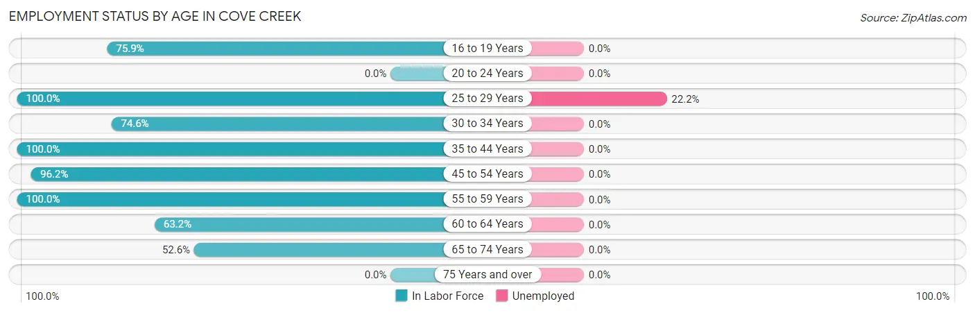 Employment Status by Age in Cove Creek