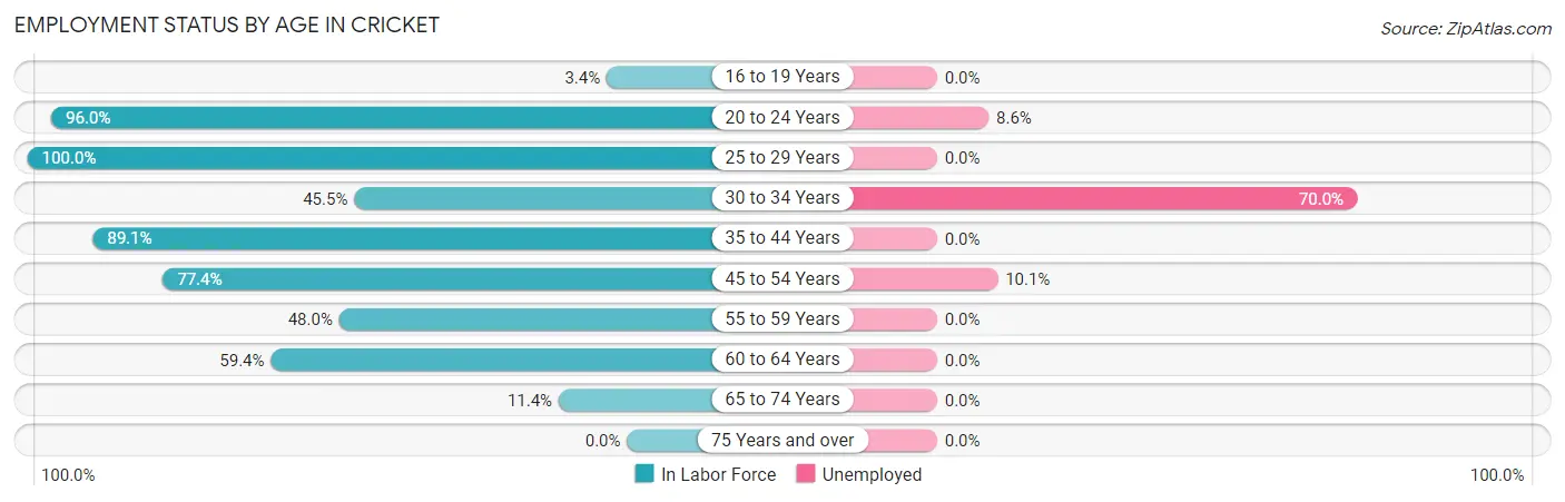 Employment Status by Age in Cricket