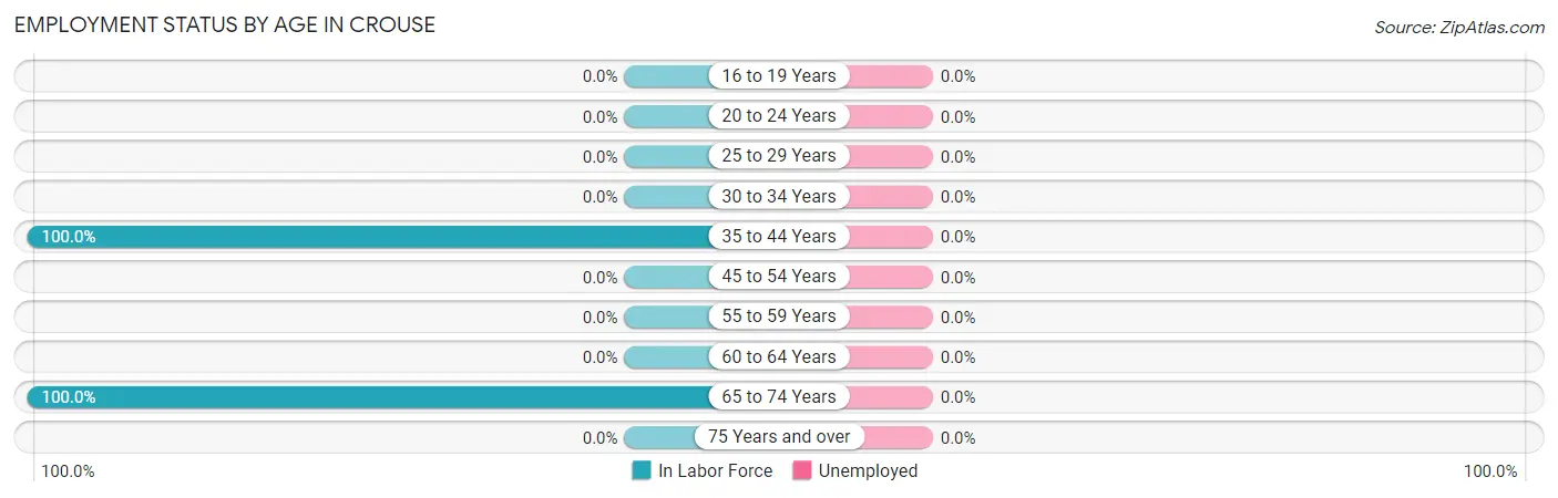 Employment Status by Age in Crouse