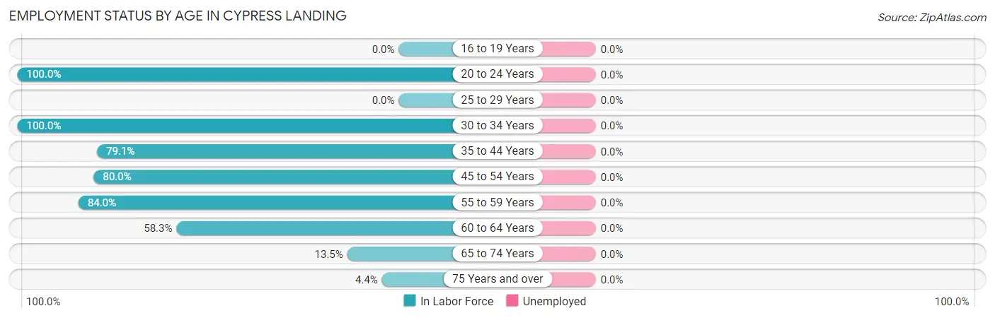 Employment Status by Age in Cypress Landing