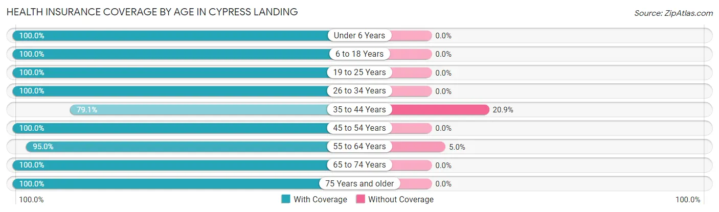 Health Insurance Coverage by Age in Cypress Landing