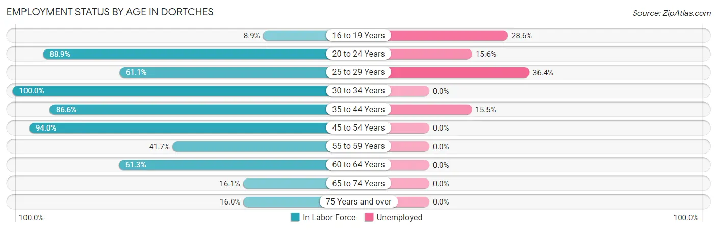 Employment Status by Age in Dortches