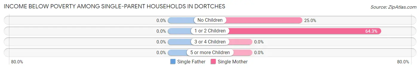 Income Below Poverty Among Single-Parent Households in Dortches