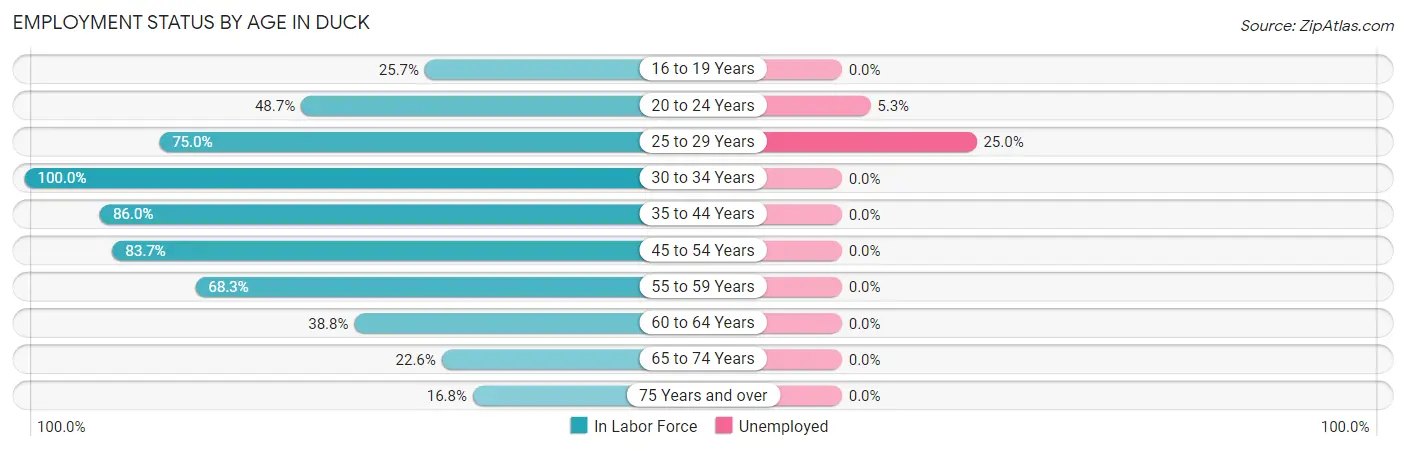 Employment Status by Age in Duck