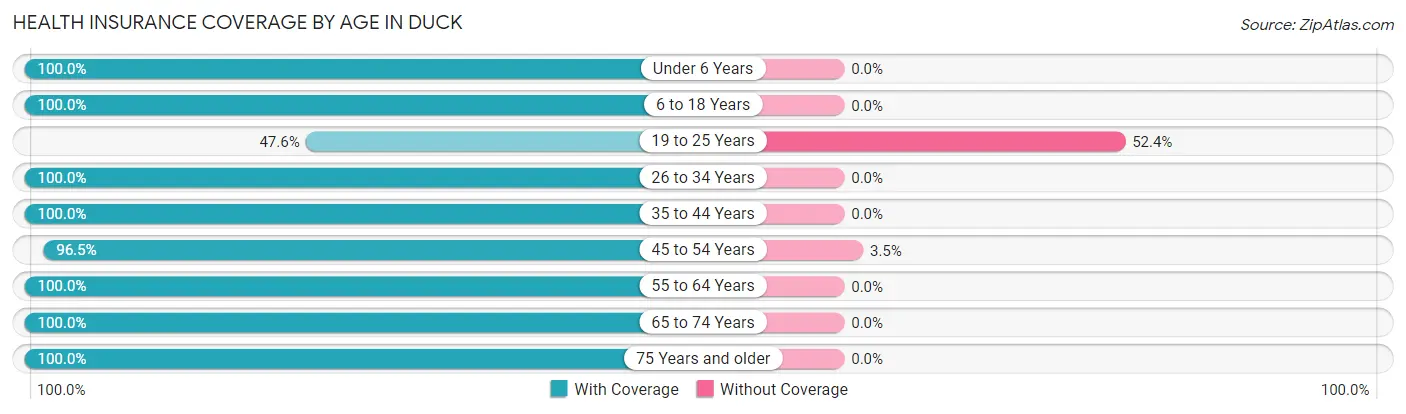 Health Insurance Coverage by Age in Duck