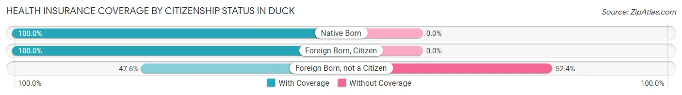 Health Insurance Coverage by Citizenship Status in Duck