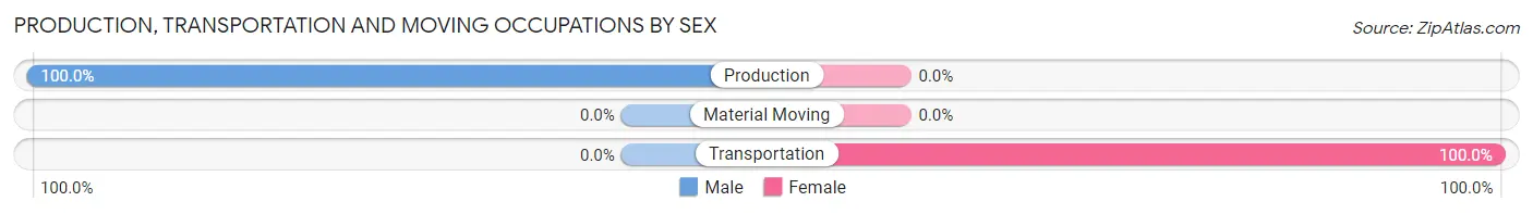 Production, Transportation and Moving Occupations by Sex in Duck