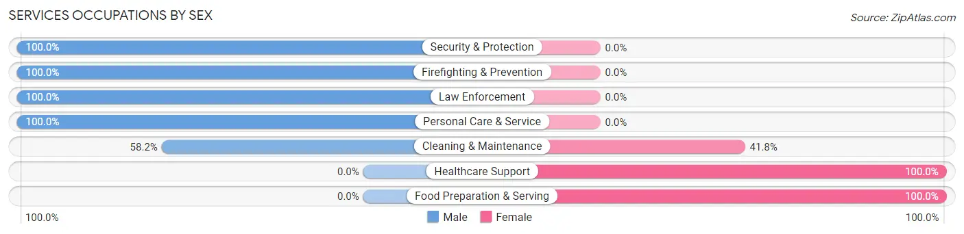 Services Occupations by Sex in Edneyville