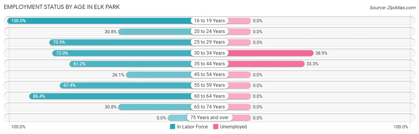 Employment Status by Age in Elk Park