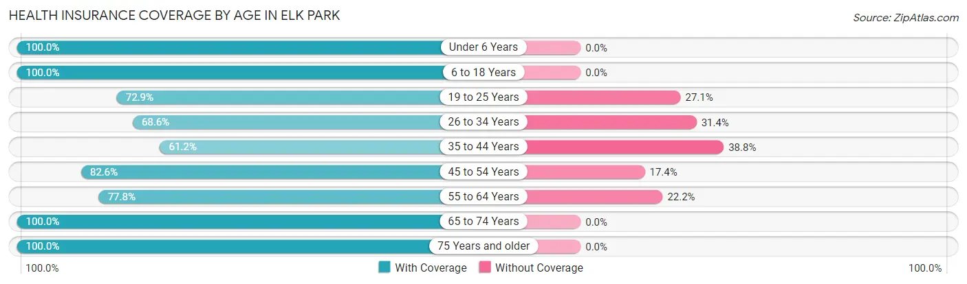 Health Insurance Coverage by Age in Elk Park
