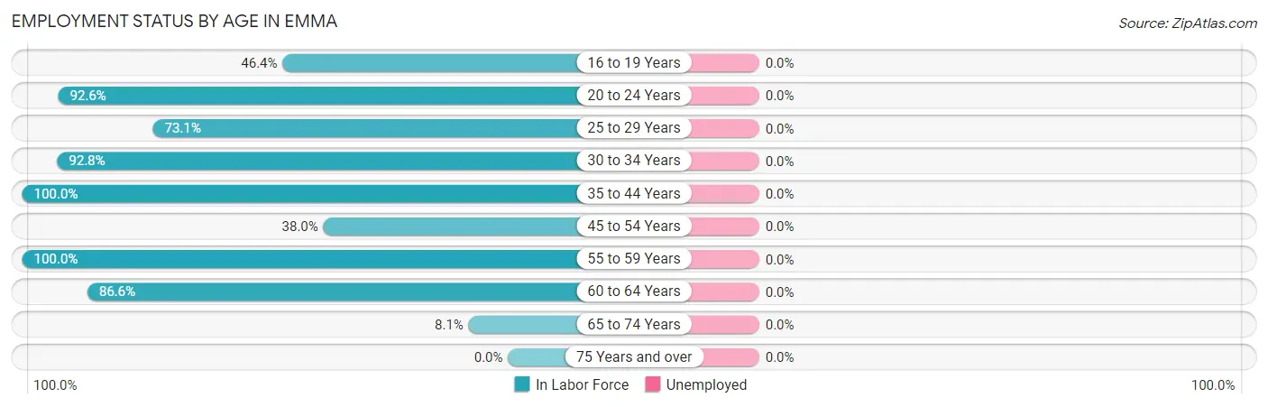 Employment Status by Age in Emma