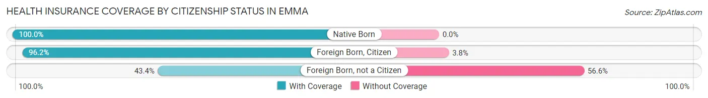 Health Insurance Coverage by Citizenship Status in Emma