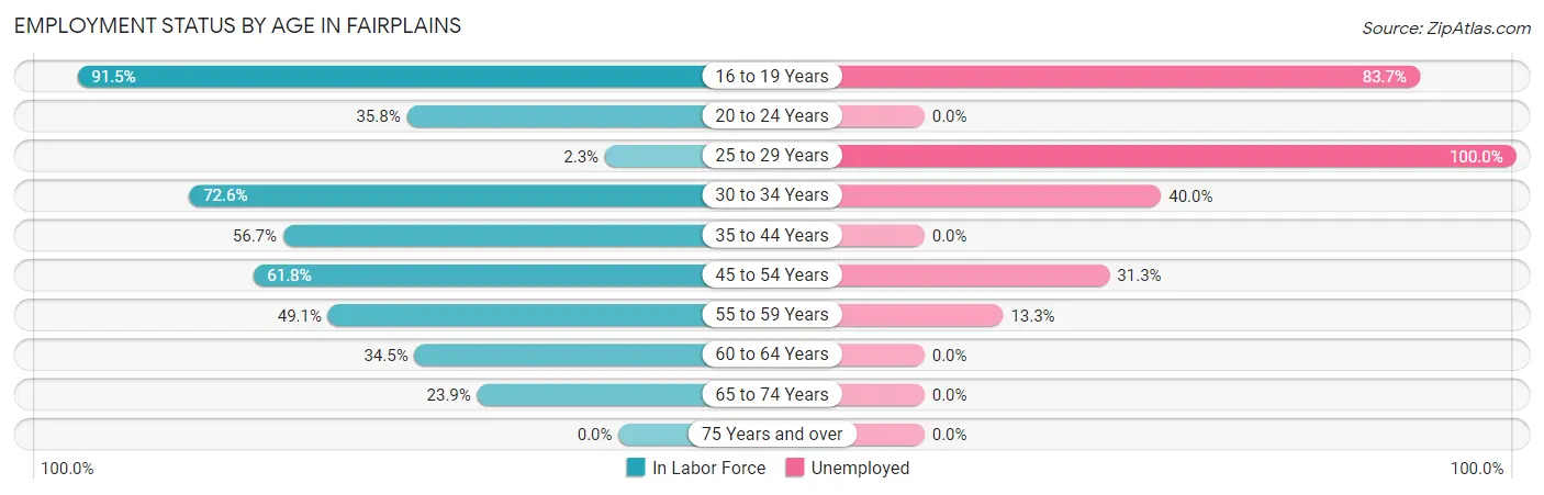 Employment Status by Age in Fairplains