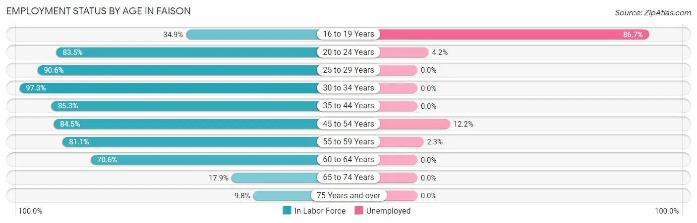 Employment Status by Age in Faison