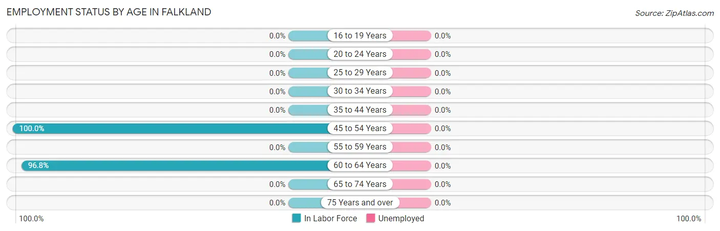 Employment Status by Age in Falkland