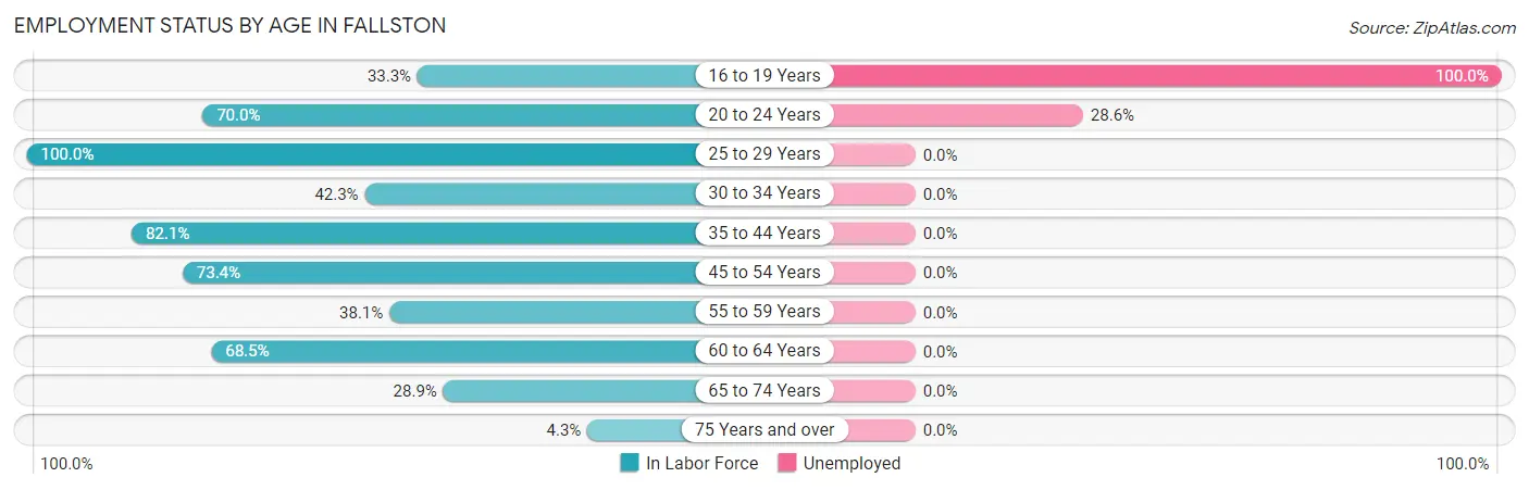 Employment Status by Age in Fallston