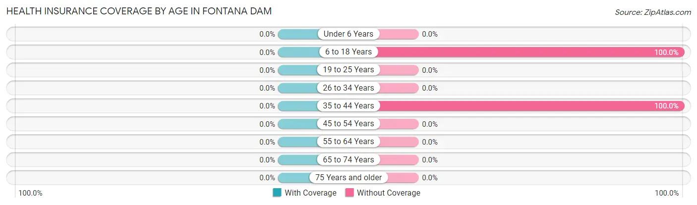 Health Insurance Coverage by Age in Fontana Dam