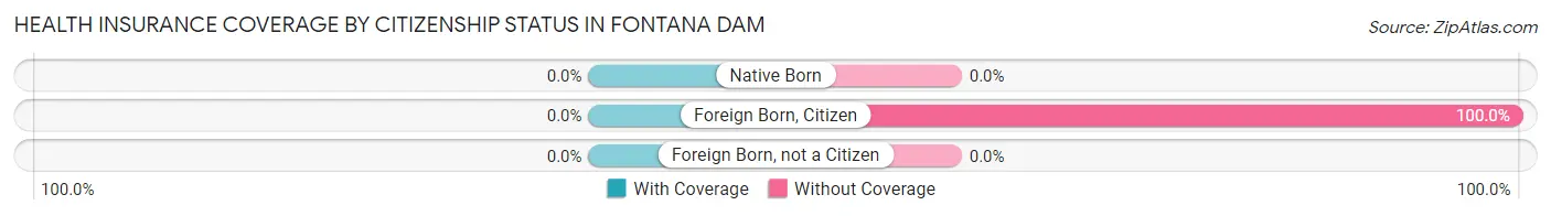 Health Insurance Coverage by Citizenship Status in Fontana Dam