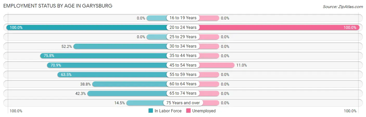 Employment Status by Age in Garysburg