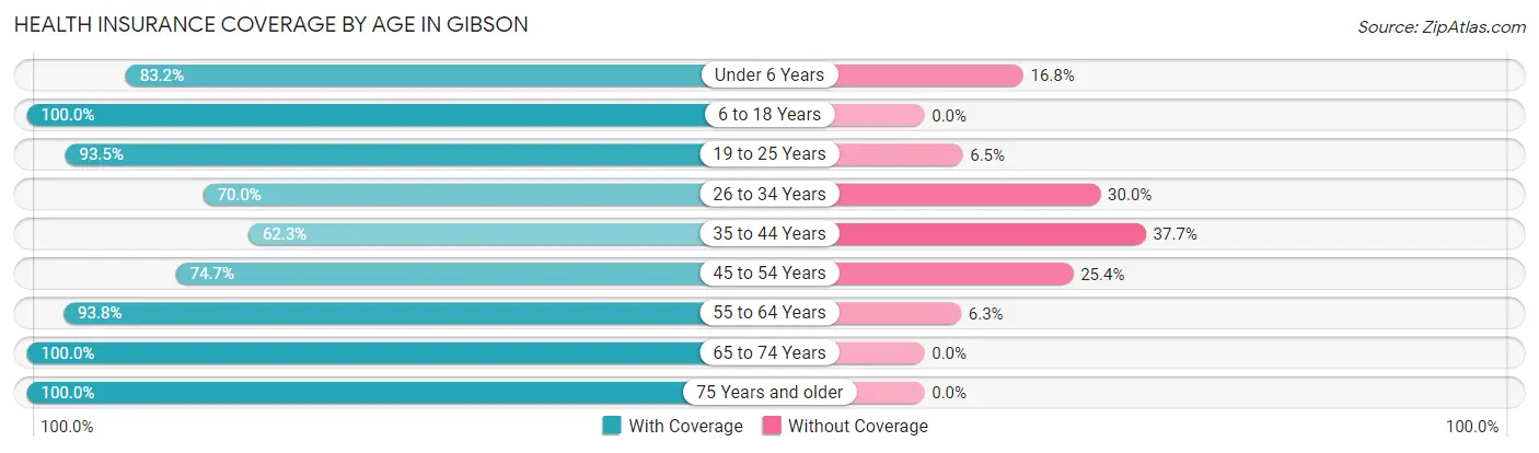 Health Insurance Coverage by Age in Gibson