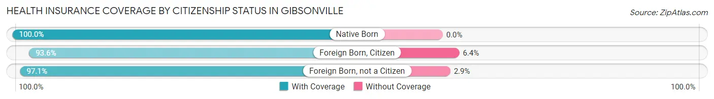 Health Insurance Coverage by Citizenship Status in Gibsonville