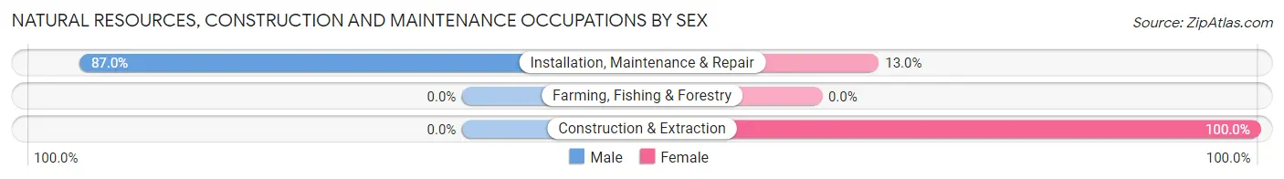 Natural Resources, Construction and Maintenance Occupations by Sex in Gibsonville