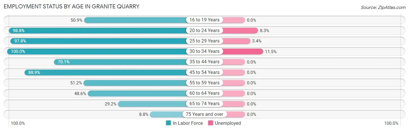 Employment Status by Age in Granite Quarry