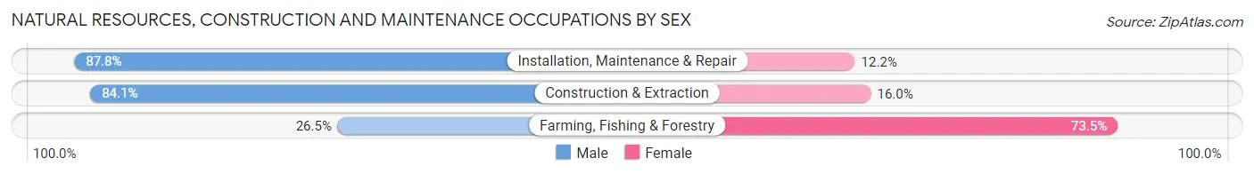 Natural Resources, Construction and Maintenance Occupations by Sex in Greenville