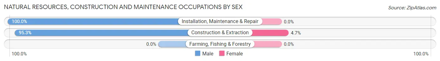 Natural Resources, Construction and Maintenance Occupations by Sex in Havelock