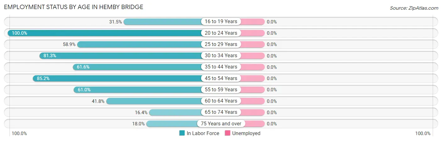 Employment Status by Age in Hemby Bridge