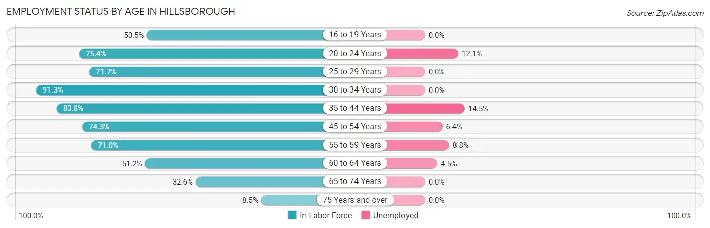 Employment Status by Age in Hillsborough