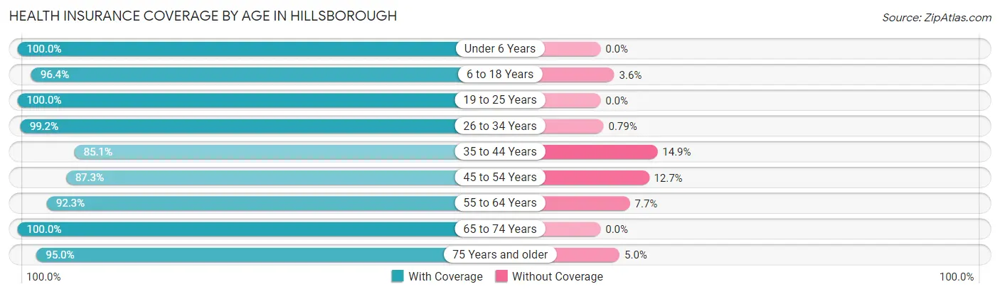Health Insurance Coverage by Age in Hillsborough