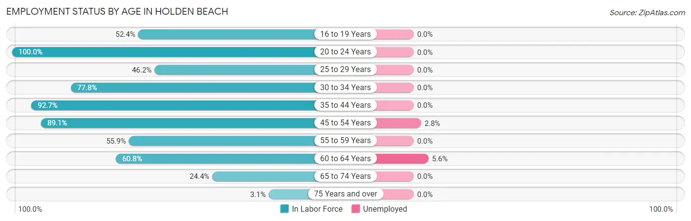 Employment Status by Age in Holden Beach