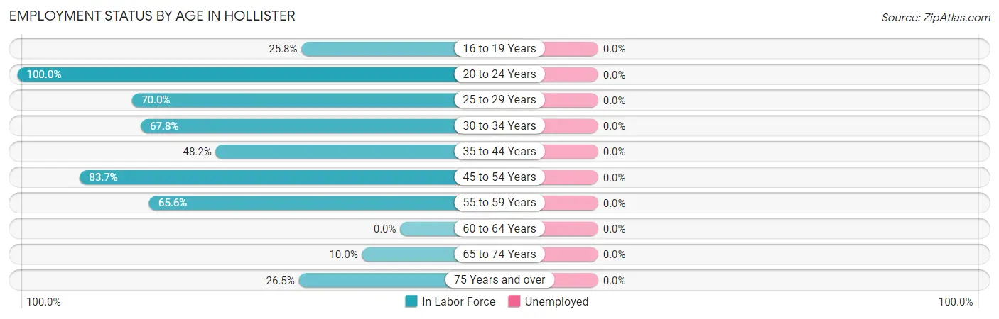 Employment Status by Age in Hollister