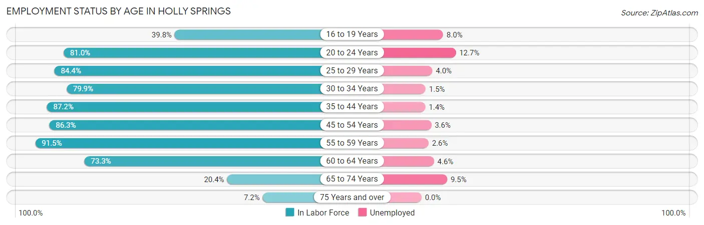 Employment Status by Age in Holly Springs