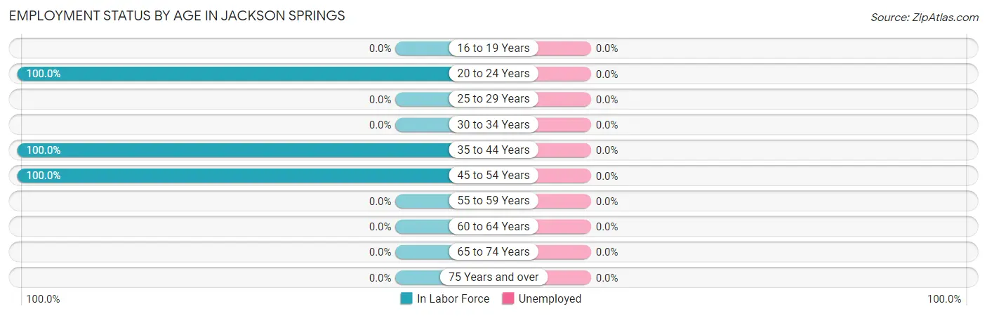 Employment Status by Age in Jackson Springs