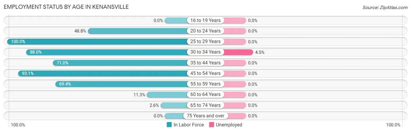 Employment Status by Age in Kenansville