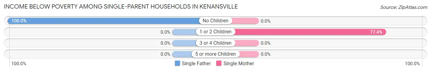 Income Below Poverty Among Single-Parent Households in Kenansville