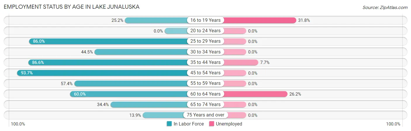 Employment Status by Age in Lake Junaluska
