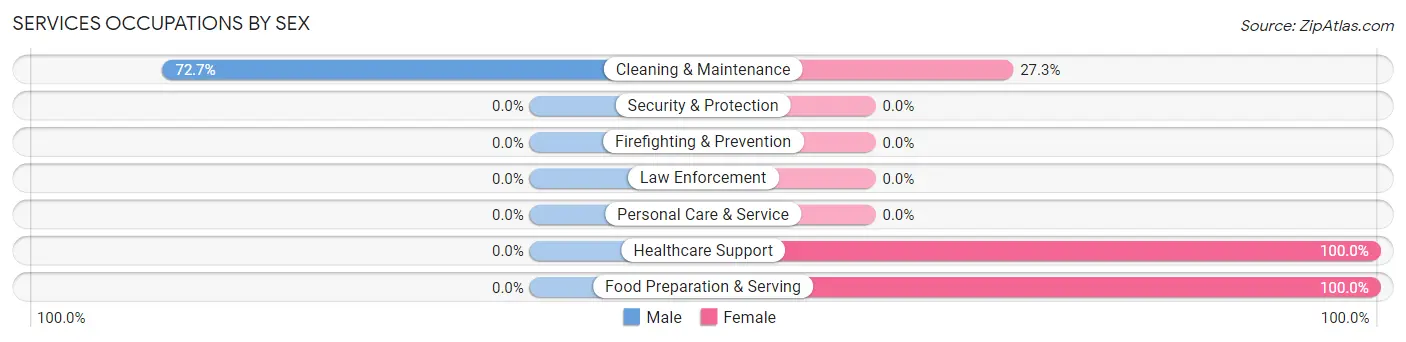 Services Occupations by Sex in Lewiston Woodville