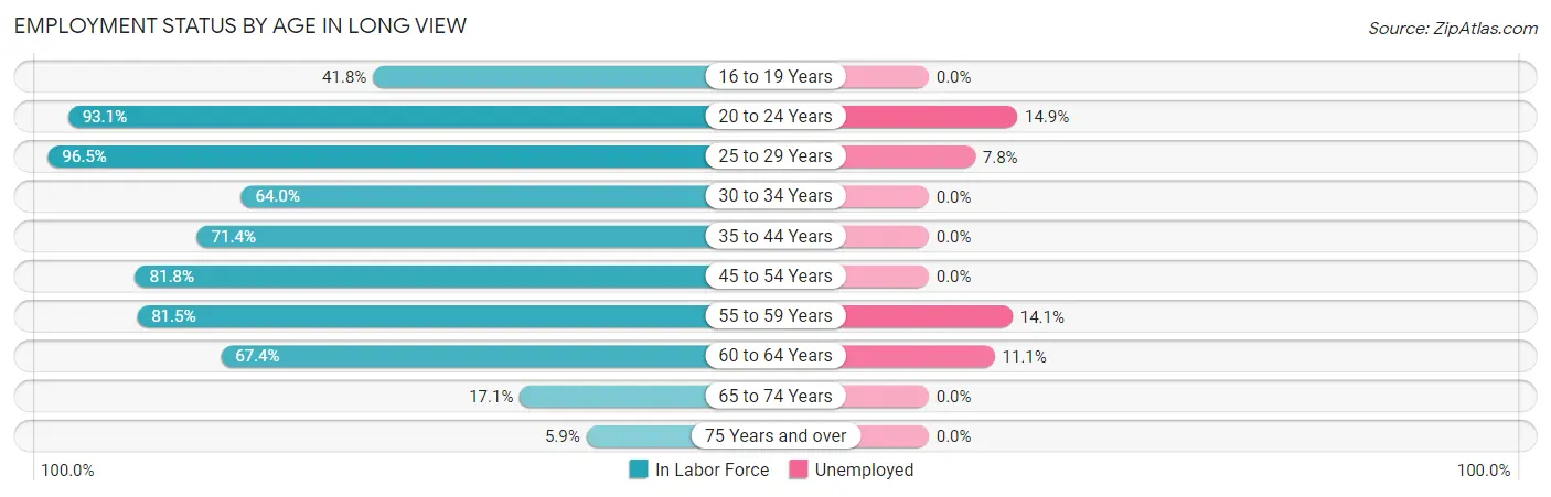 Employment Status by Age in Long View