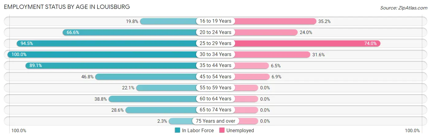 Employment Status by Age in Louisburg